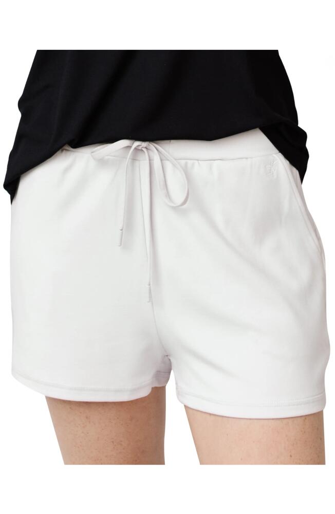 Cozy Earth Pajama Shorts in Light Grey Cover