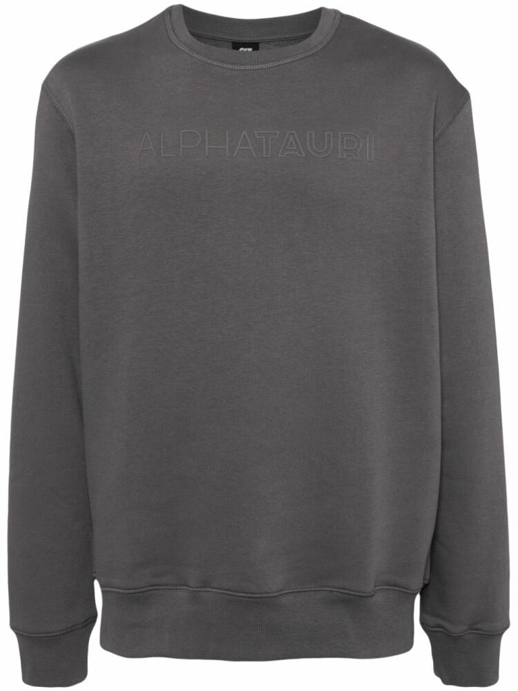 Alpha Tauri signature logo sweatshirt - Grey Cover