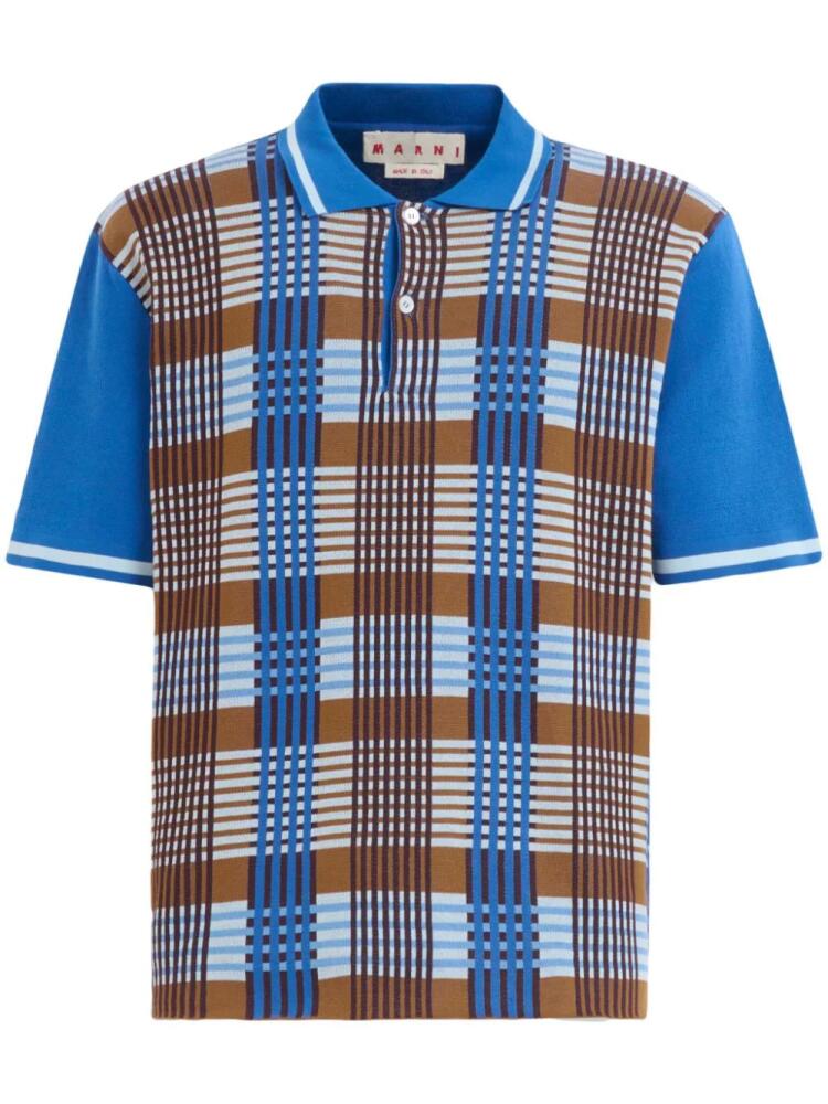 Marni checked cotton polo shirt - Blue Cover