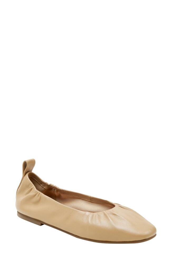 Linea Paolo Newry Ballet Flat in Desert Cover