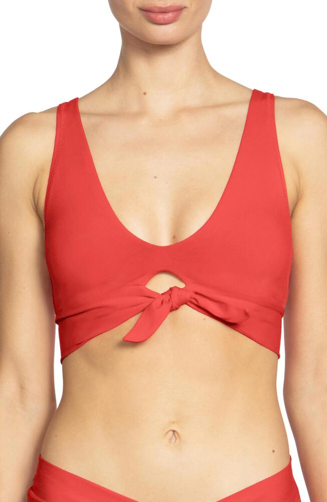 Robin Piccone Ava Knot Front Bikini Top in Guava Cover