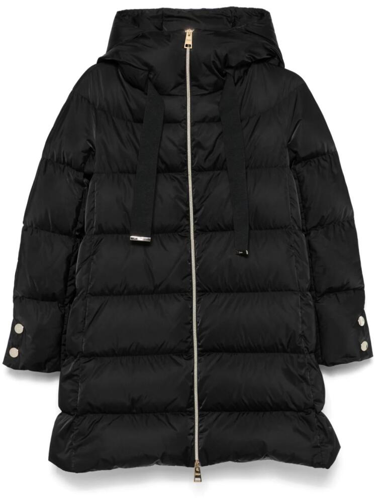 Herno hooded coat - Black Cover