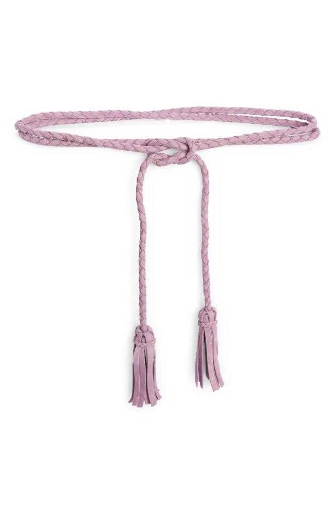 Ada Fringe Soga Leather Belt in Lilac Cover