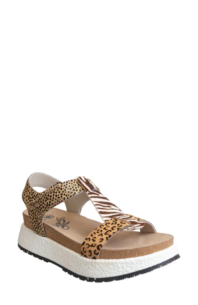 OTBT Mend Platform Sandal in Animal Print Cover