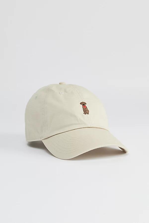 '47 Brand Chocolate Lab Clean Up Hat in Neutral Cover