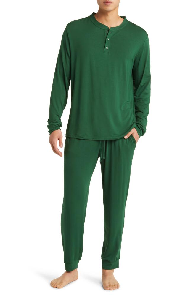 Eberjey Henry Jersey Pajamas in Forest Green Cover