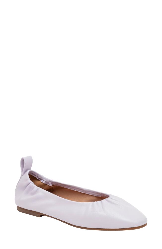 Linea Paolo Newry Ballet Flat in Lavender Fog Cover