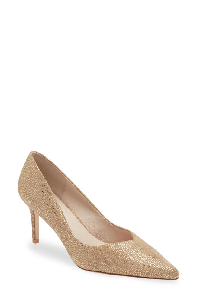 KOKO + PALENKI Franky Pointed Toe Pump in Gold Twinkle Leather Cover