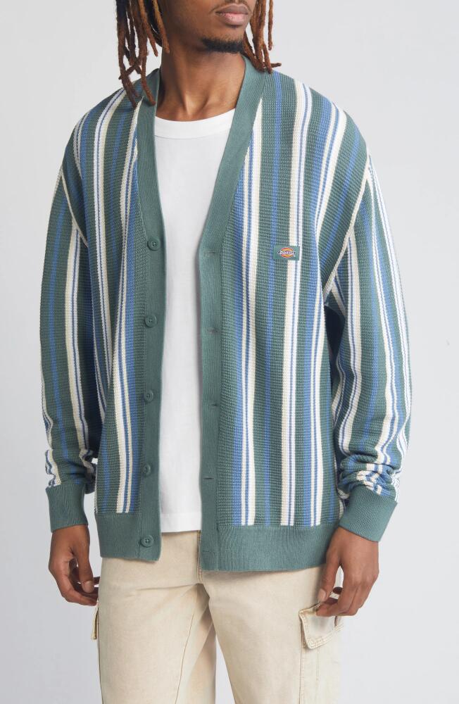 Dickies Glade Stripe Cotton Cardigan in Various Stripes Cover