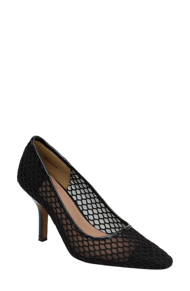 Linea Paolo Priya Mesh Pointed Toe Pump in Black Cover