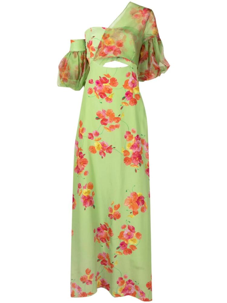 Isolda Greta floral-print asymmetric silk dress - Green Cover