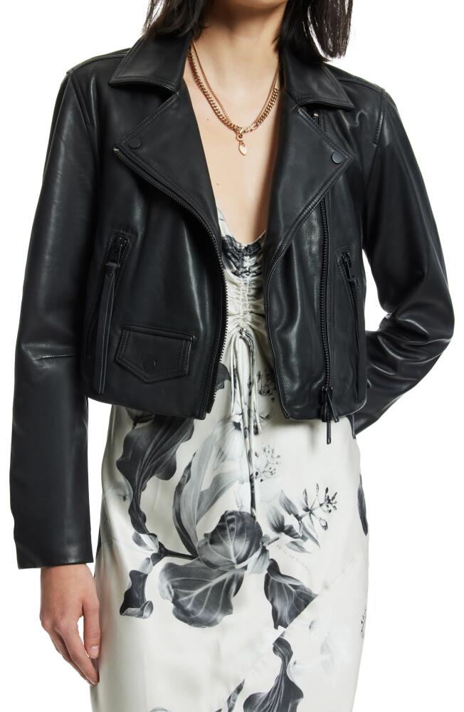 AllSaints Elora Crop Leather Biker Jacket in Black Cover