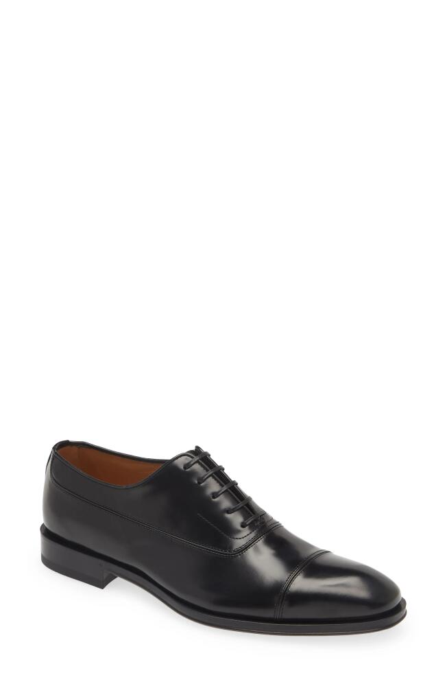 FERRAGAMO Fermin Cap Toe Oxford in Nero New Biscotto Cover