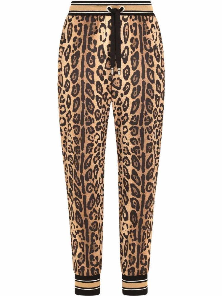 Dolce & Gabbana leopard-print track pants - Brown Cover