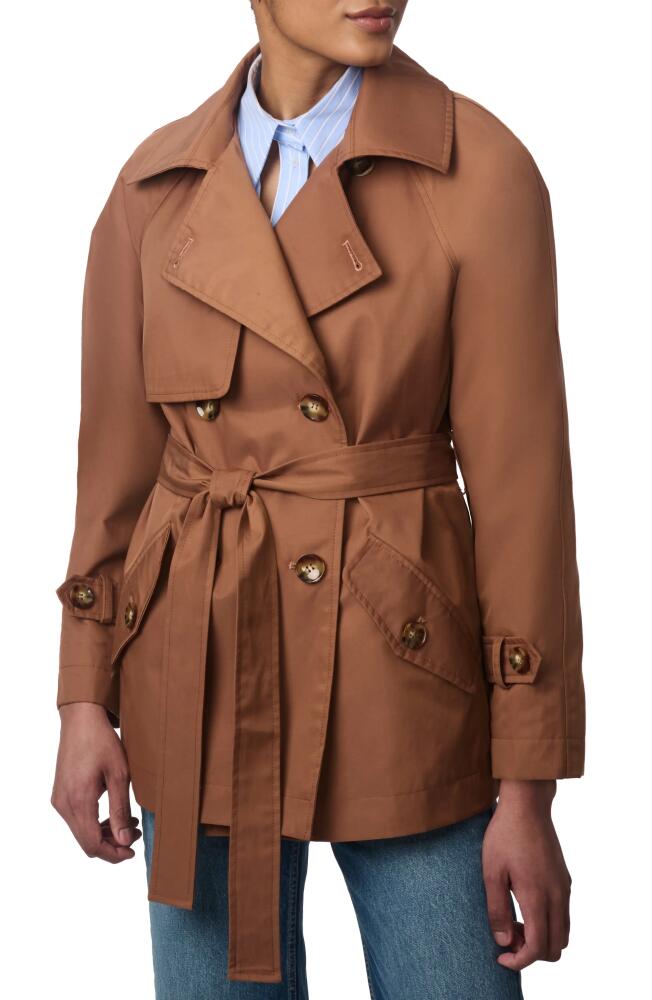 Bernardo Belted Trench Coat in Dark Camel Cover