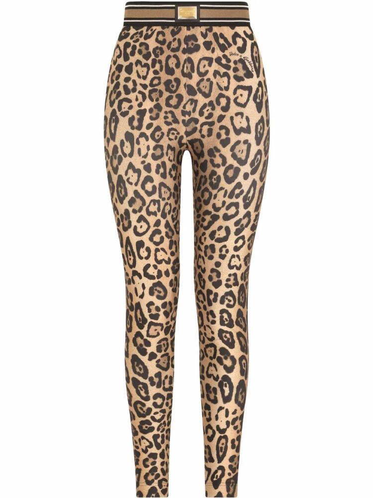 Dolce & Gabbana leopard-print jersey leggings - Brown Cover