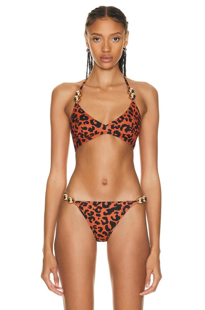 Wolford Built Up Traingle Gold Bubble Bikini Top in Cognac Cover