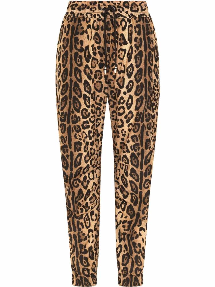 Dolce & Gabbana leopard-print track pants - Brown Cover