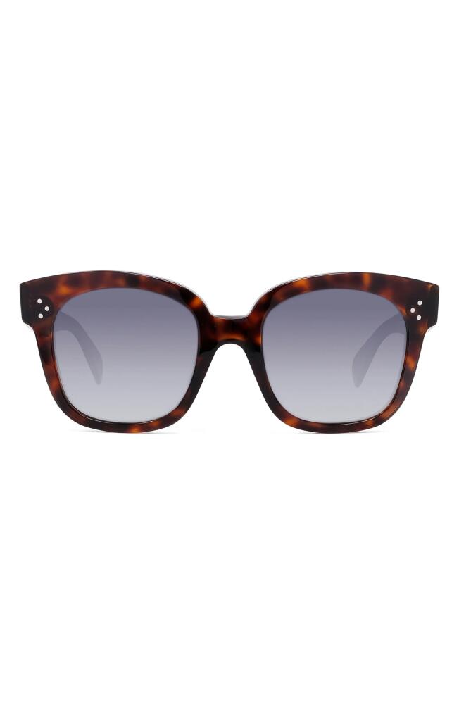 CELINE 54mm Square Sunglasses in Red Havan/Smoke Cover