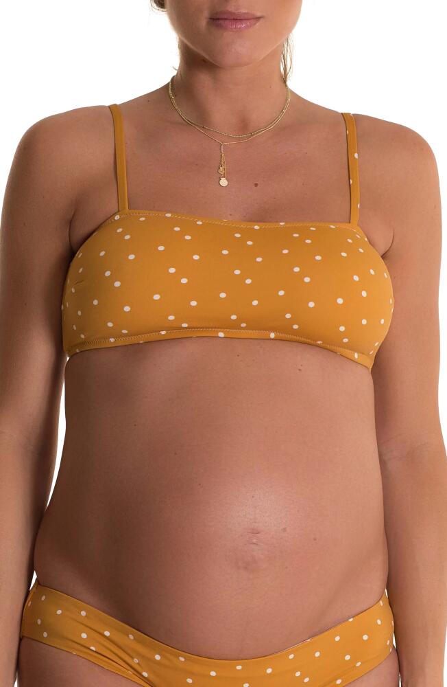 Pez D'Or Ana Bandeau Maternity Bikini Top in Mustard Cover