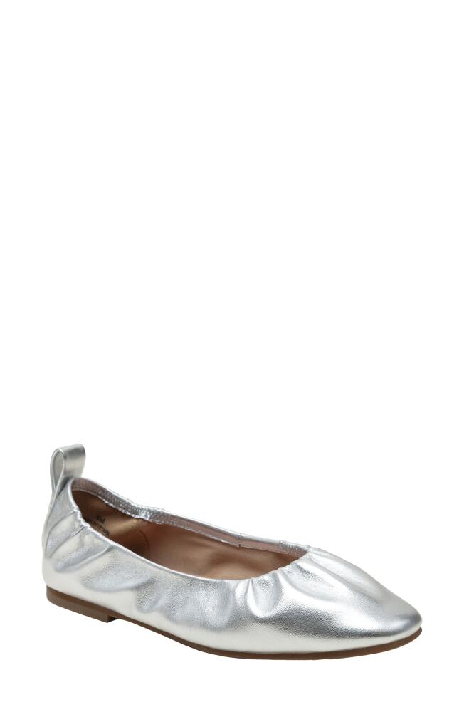 Linea Paolo Newry Ballet Flat in Silver Cover