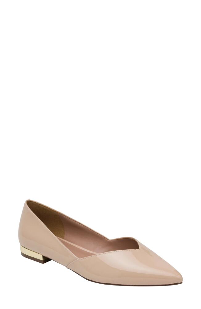 Linea Paolo Nasya Pointed Toe Flat in Blush Cover