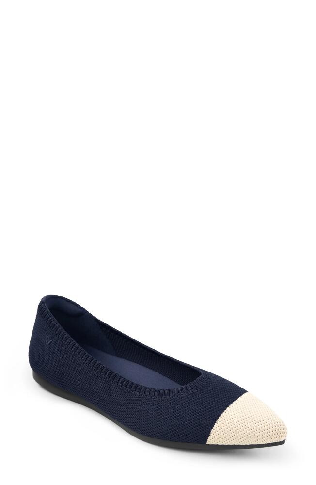 VIVAIA ARIA 5º Pointed Toe Flat in Navy/Almond Tip Cover