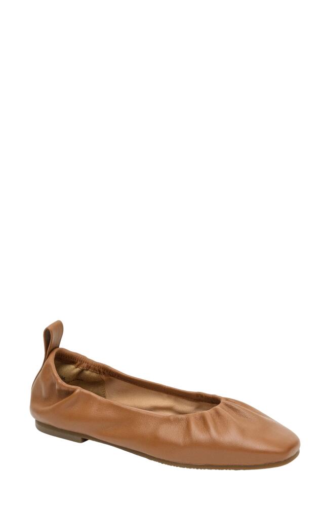 Linea Paolo Newry Ballet Flat in Cognac Cover