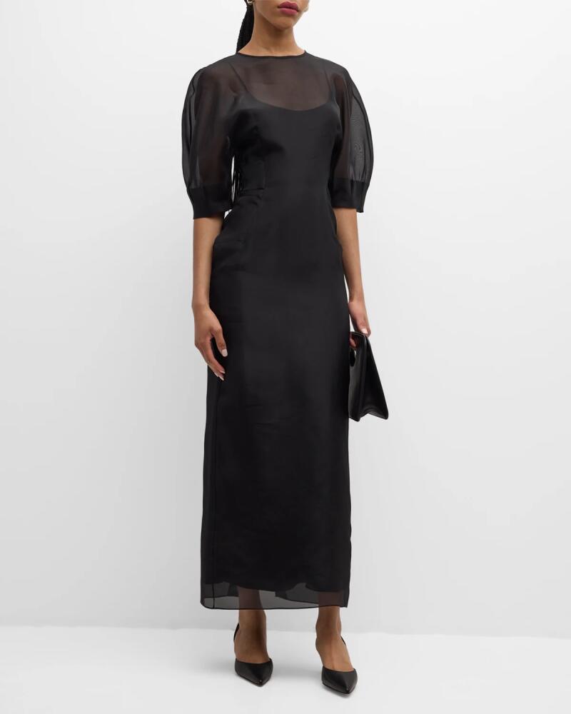 Gabriela Hearst Coretta Sheer Organza Midi Dress Cover