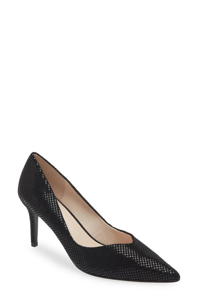 KOKO + PALENKI Franky Pointed Toe Pump in Black Micro Heart Suede Cover