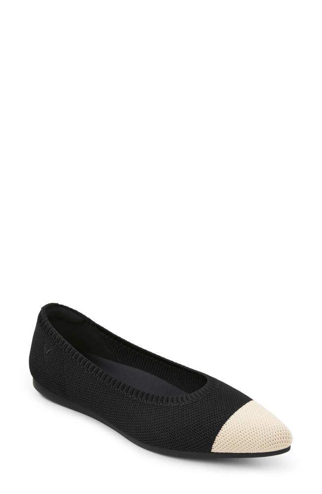 VIVAIA ARIA 5º Pointed Toe Flat in Black/Almond Cover