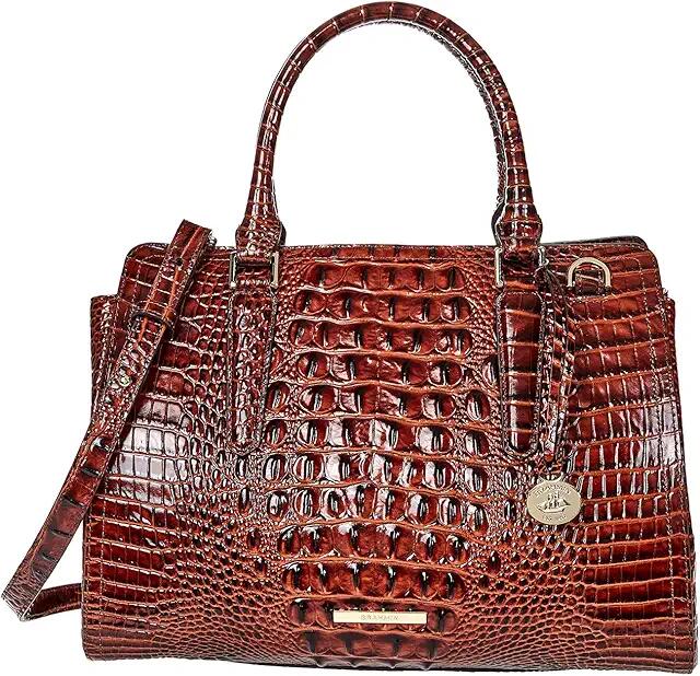 Brahmin Melbourne Small Finley Satchel (Pecan) Handbags Cover