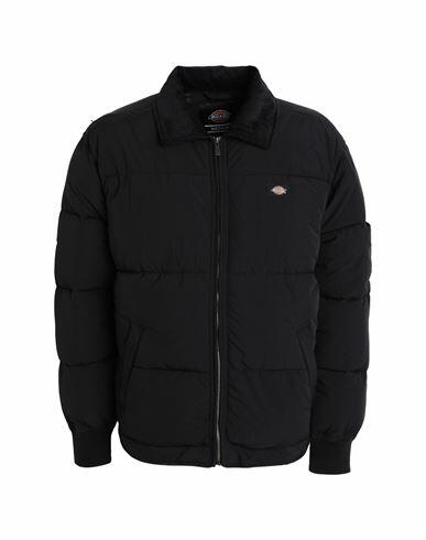 Dickies Overbrook Eisenhower Puffer Man Puffer Black Polyamide, Cotton Cover