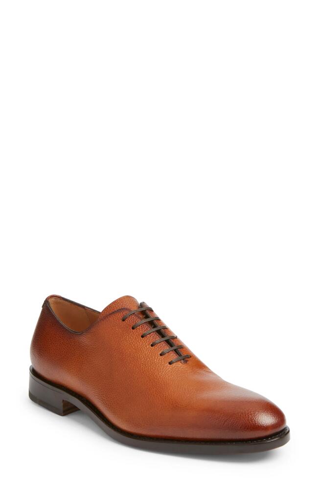 FERRAGAMO Angiolo Oxford in Sella T. moro New Biscotto Cover