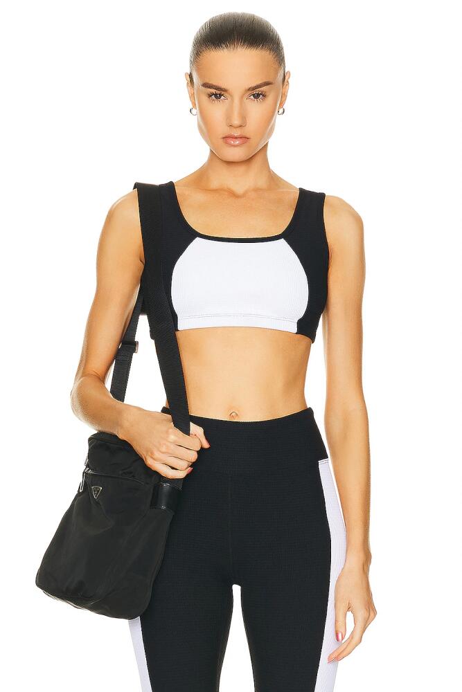 YEAR OF OURS Thermal Lily Bra in Black,White Cover