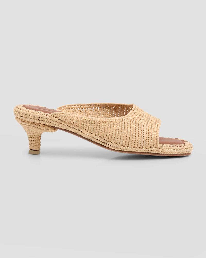 Carrie Forbes Port Raffia Kitten-Heel Slide Sandals Cover