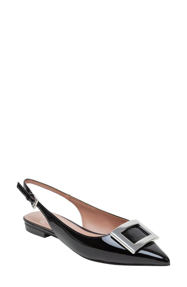 Linea Paolo Delica Slingback Pointed Toe Flat in Black Cover