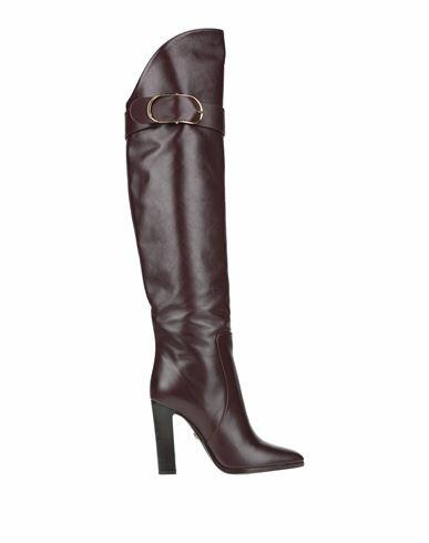 Dolce & gabbana Woman Boot Deep purple Calfskin Cover