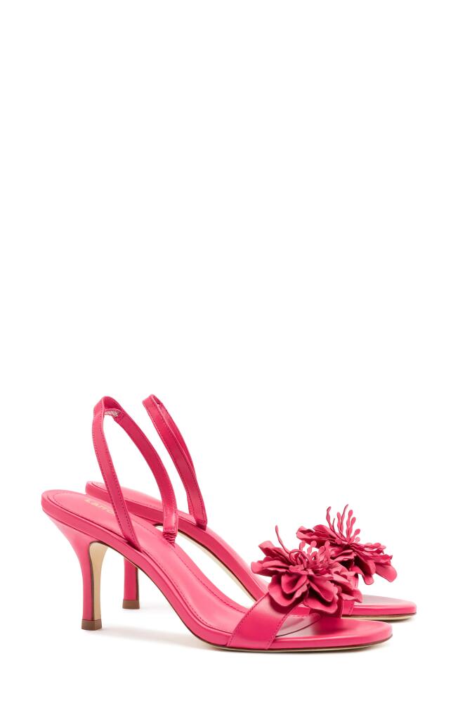 Larroudé Hibiscus Slingback Sandal in Magenta Cover