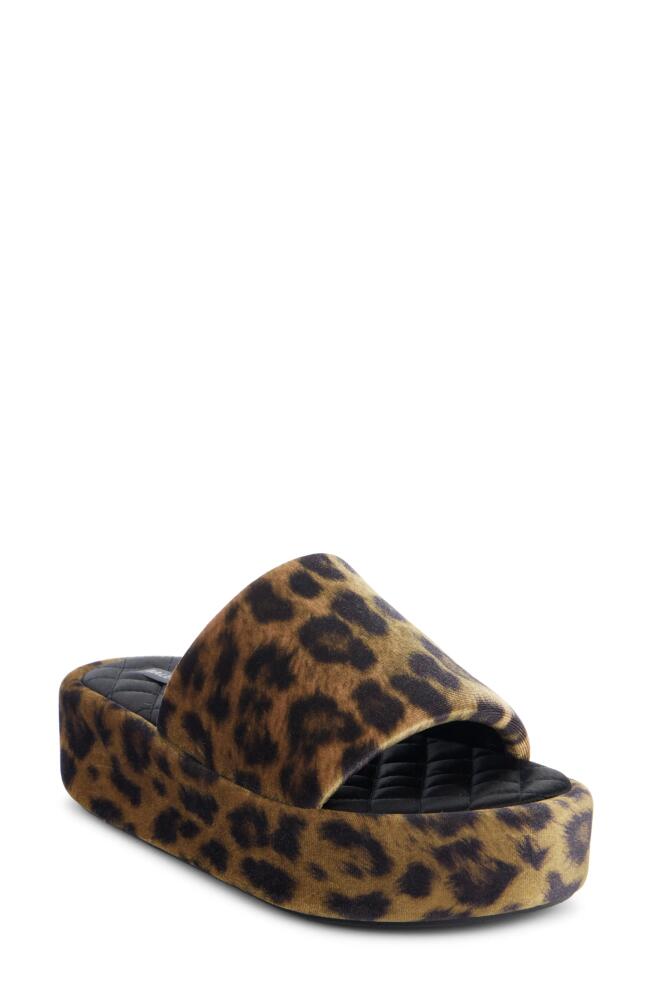 Balenciaga Rise Platform Slide Sandal in Leopard Cover