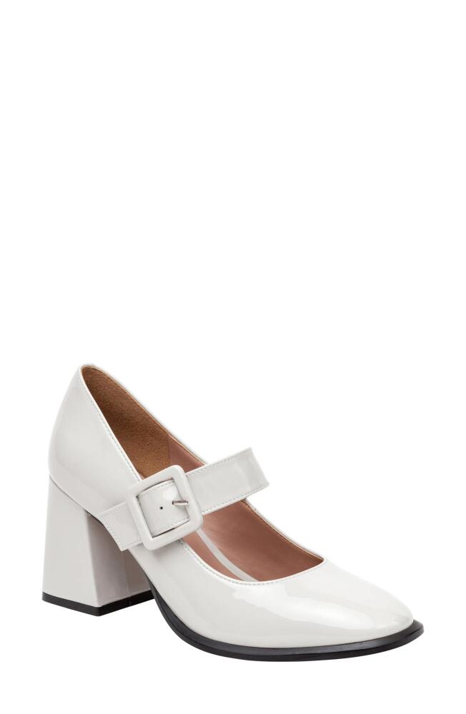 Linea Paolo Belle Mary Jane Pump in Dove Cover