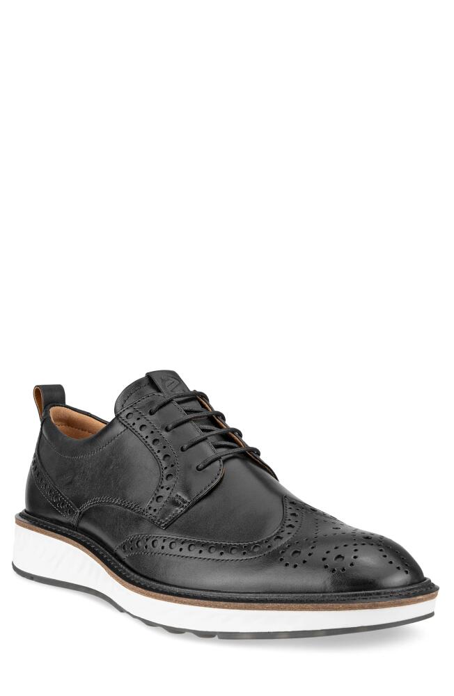 ECCO ST.1 Hybrid Wingtip in Black Cover