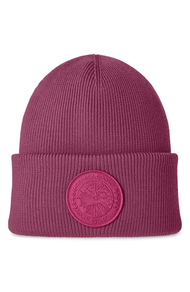 Canada Goose Arctic Merino Wool Toque Beanie in City Magenta Cover