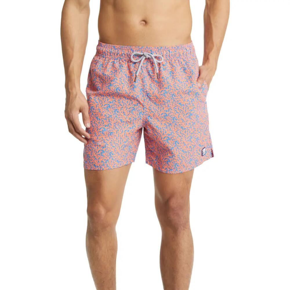 Tom & Teddy Coral Print Swim Trunks in Mid Blue & Orange Cover