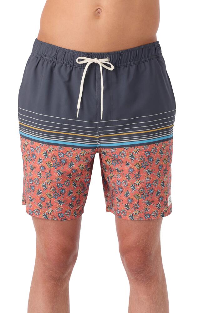 O'Neill Hermosa Swim Trunks in Auburn Cover