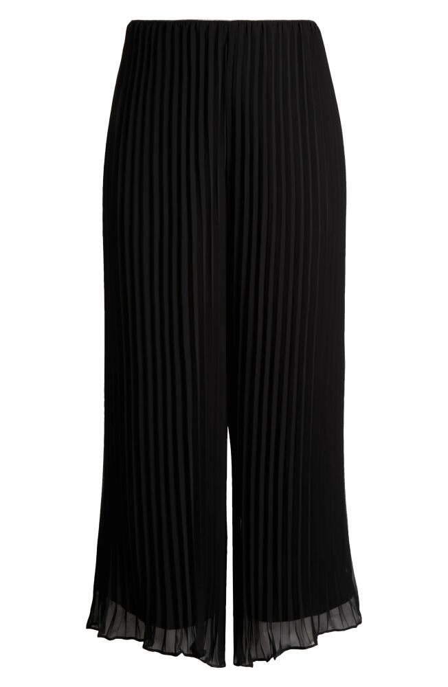 Alex Evenings Pleated Wide Leg Chiffon Pants in Black Cover