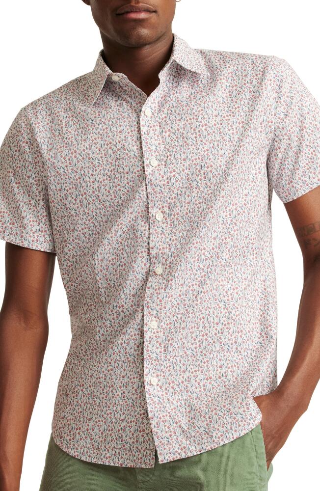 Bonobos Riviera Floral Short Sleeve Stretch Cotton Button-Up Shirt in Dalmir Floral Cover