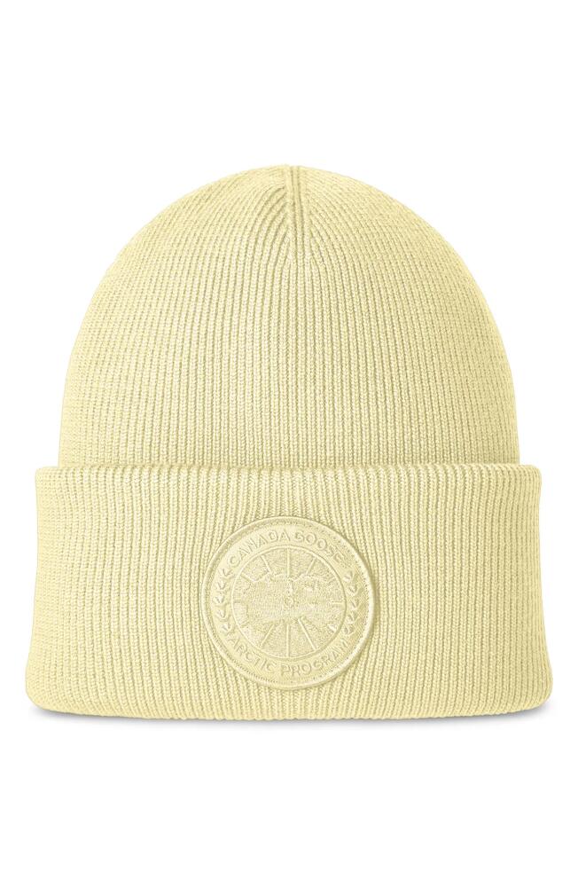 Canada Goose Arctic Merino Wool Toque Beanie in Light Yellow/Jaune Clair Cover