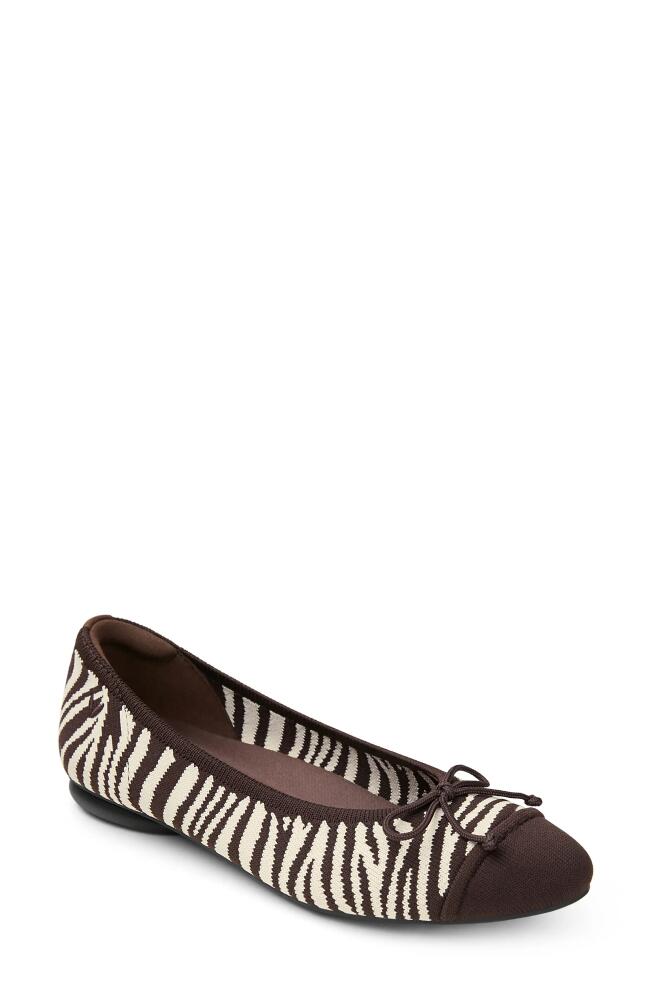 VIVAIA Tiana Ballet Flat in Chocolate Zebra Cover