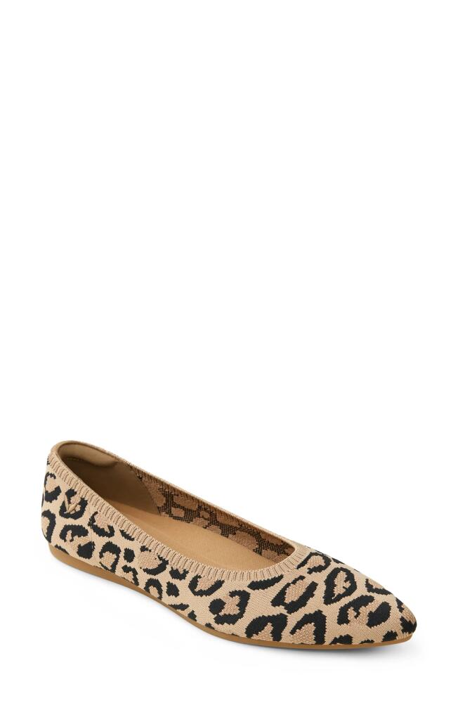 VIVAIA ARIA 5º Pointed Toe Flat in Leopard Cover